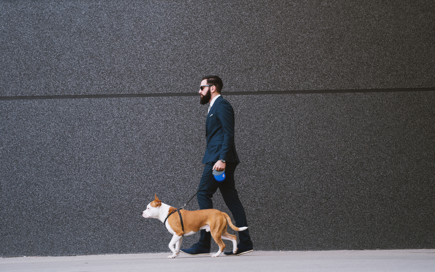 How to Start a Dog Walking Business